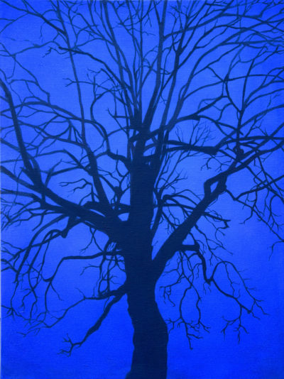 EPIC ALAMEDA BLUE HOUR TREE