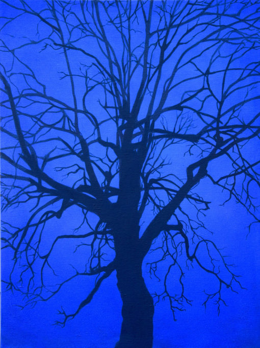EPIC ALAMEDA BLUE HOUR TREE